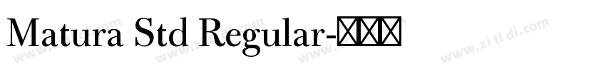 Matura Std Regular字体转换